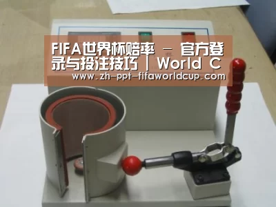 世界杯投注案例展示六