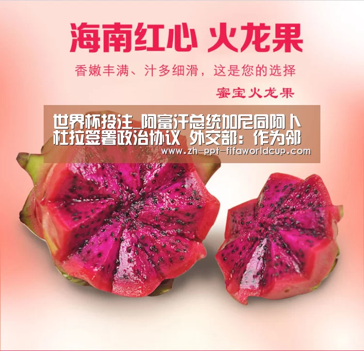世界杯投注