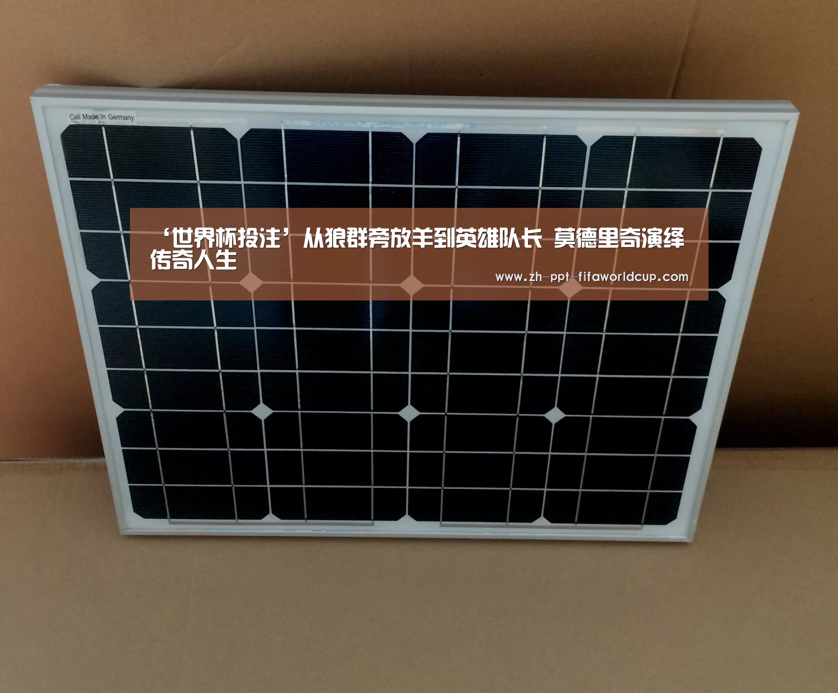世界杯投注
